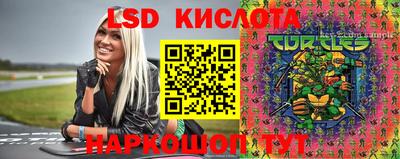 шишки Краснокаменск