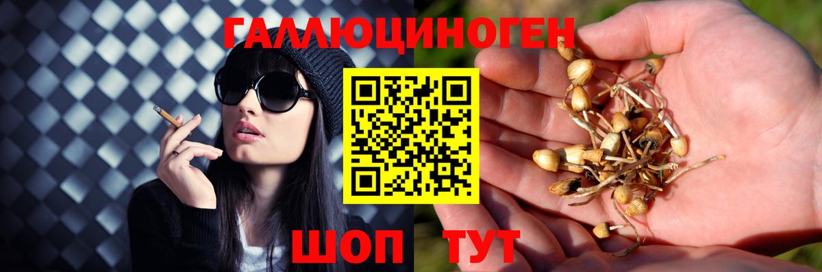 Галлюциногенные грибы Cubensis  Вход с VPN  Хасавюрт 